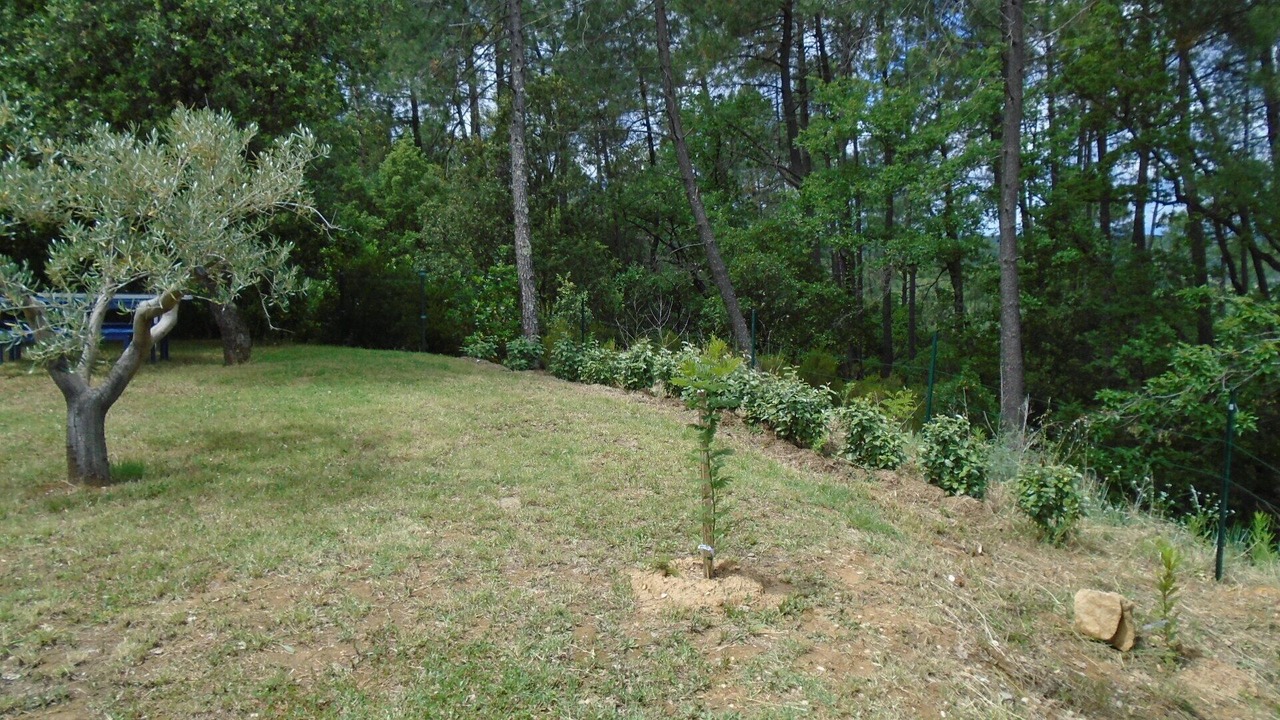 Photo of Outdoor in Saint-Julien-de-Peyrolas