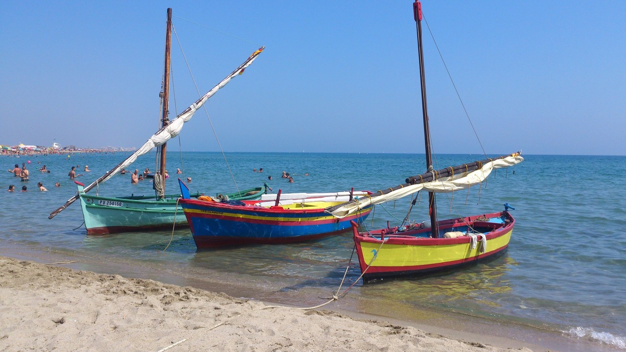 Photo of Others in Saint-Cyprien Plage