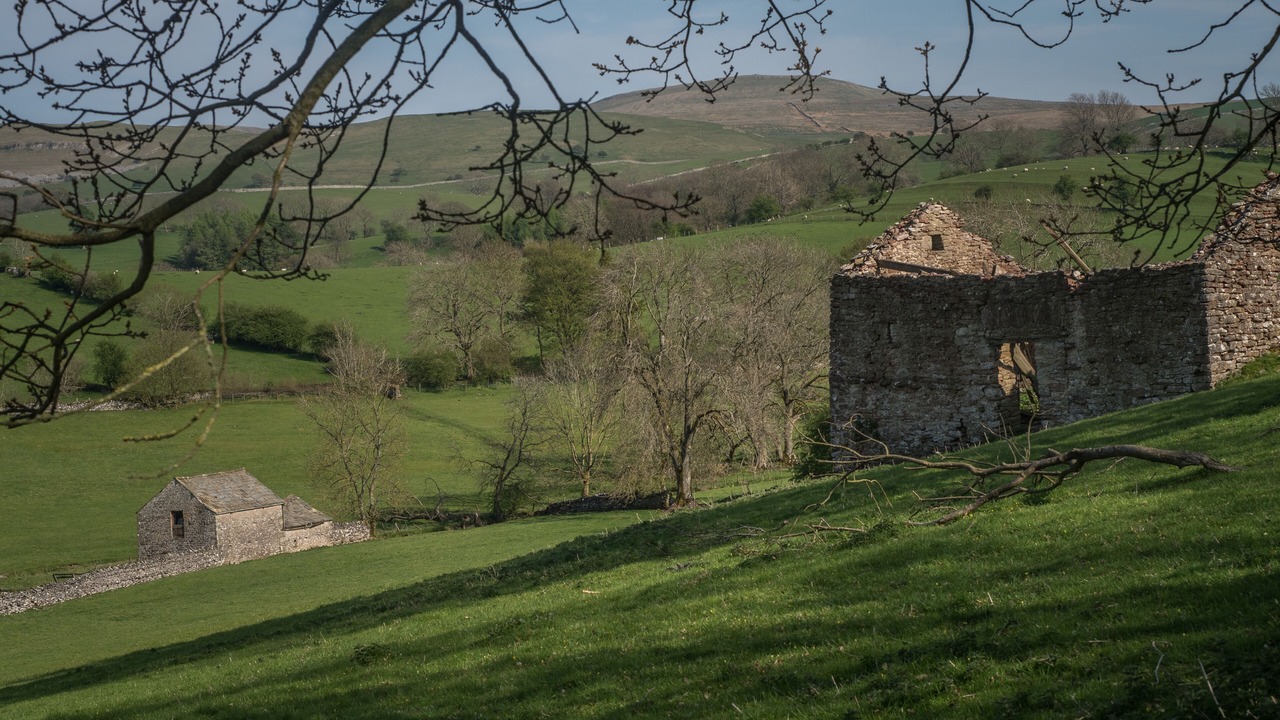 Photo of Others in Orton