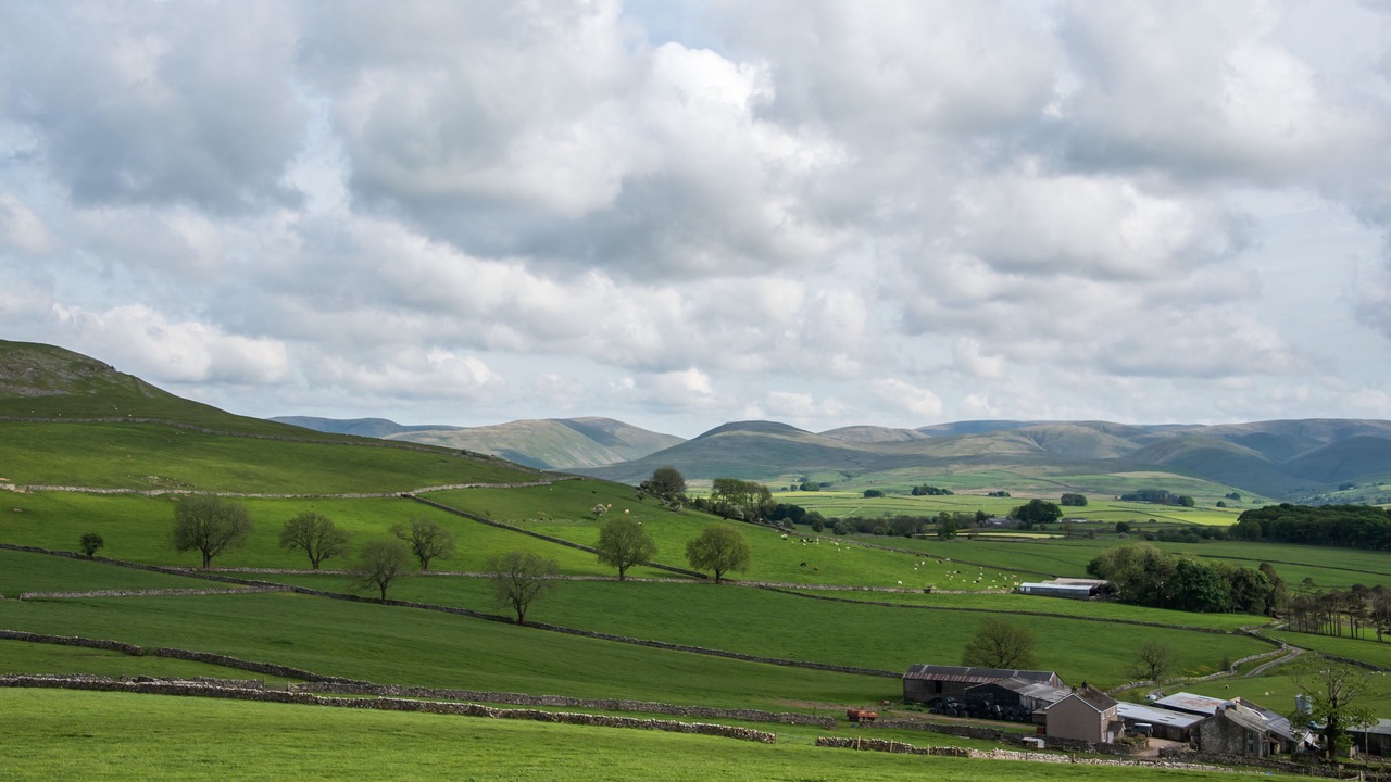 Photo of Others in Orton