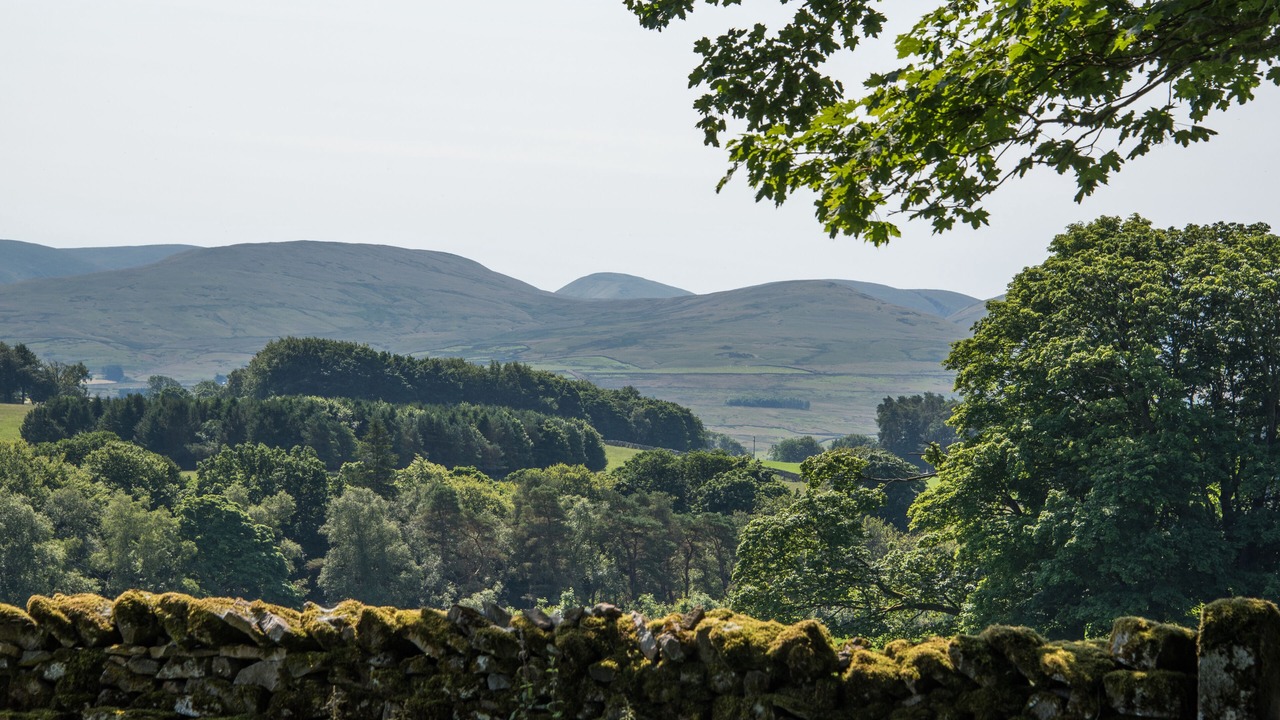 Photo of Others in Orton