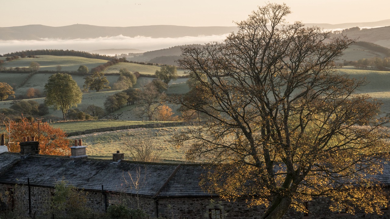 Photo of Others in Orton