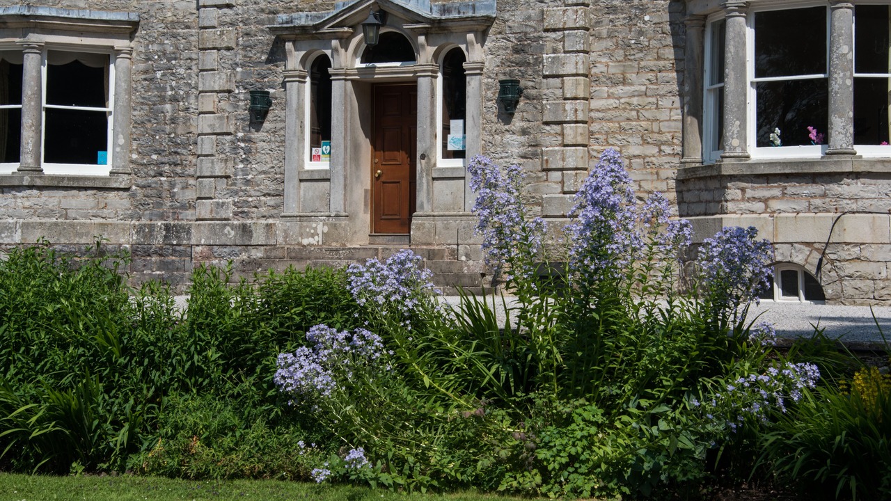 Photo of Others in Orton