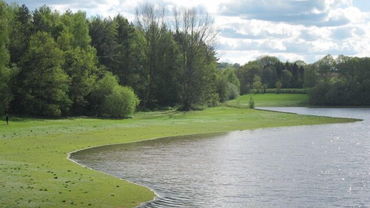 Photo of Others in Maidstone