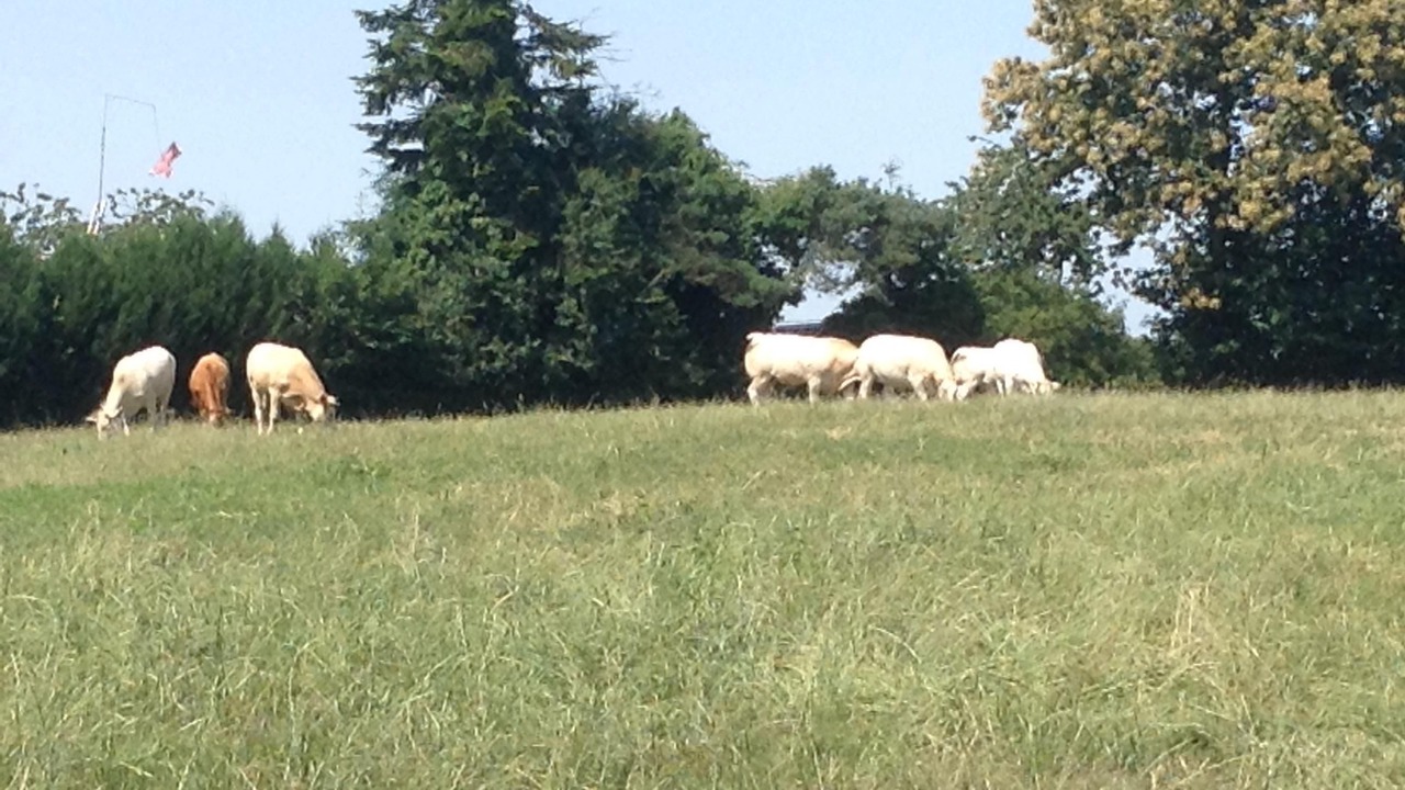 Photo of Outdoor in Le Teilleul