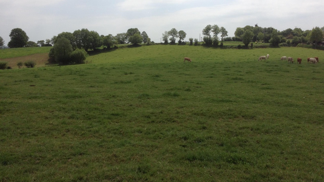 Photo of Others in Le Teilleul