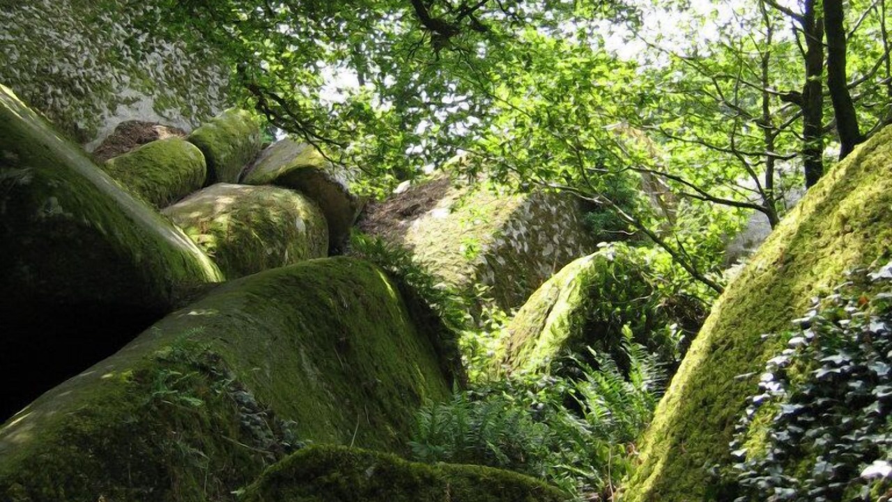 Photo of Outdoor in Sizun