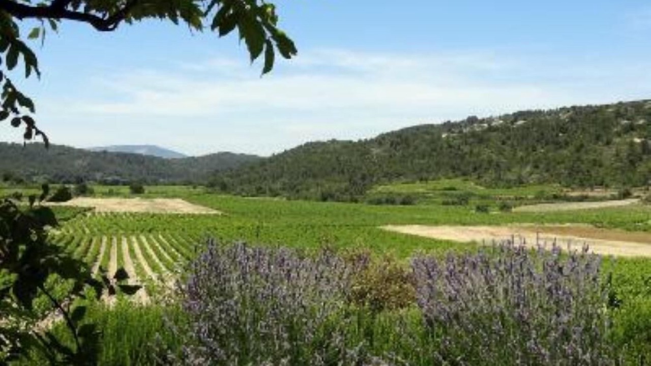 Photo of Others in Coustouge