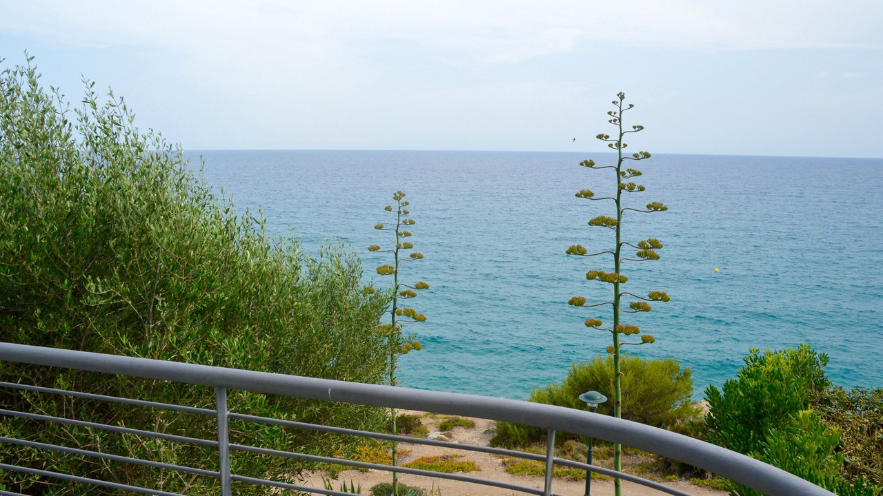 Photo of Outdoor in Altafulla