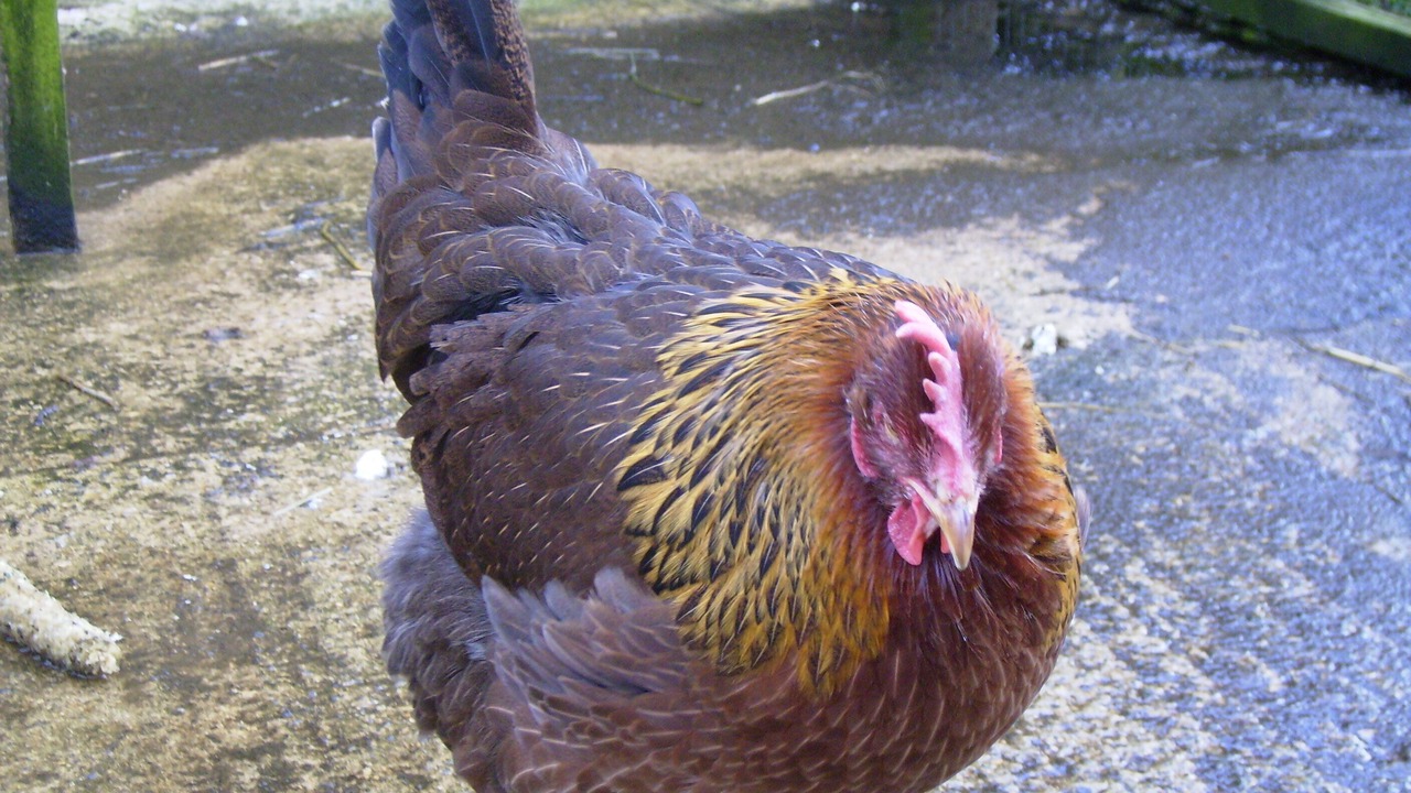 Photo of Others in Nailsworth