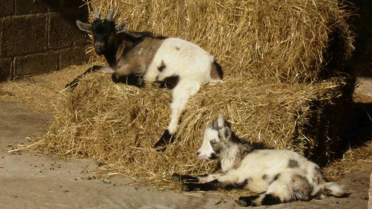 Photo of Others in Nailsworth