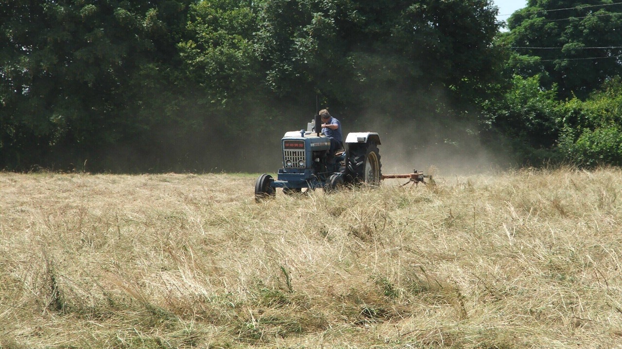 Photo of Others in Nailsworth