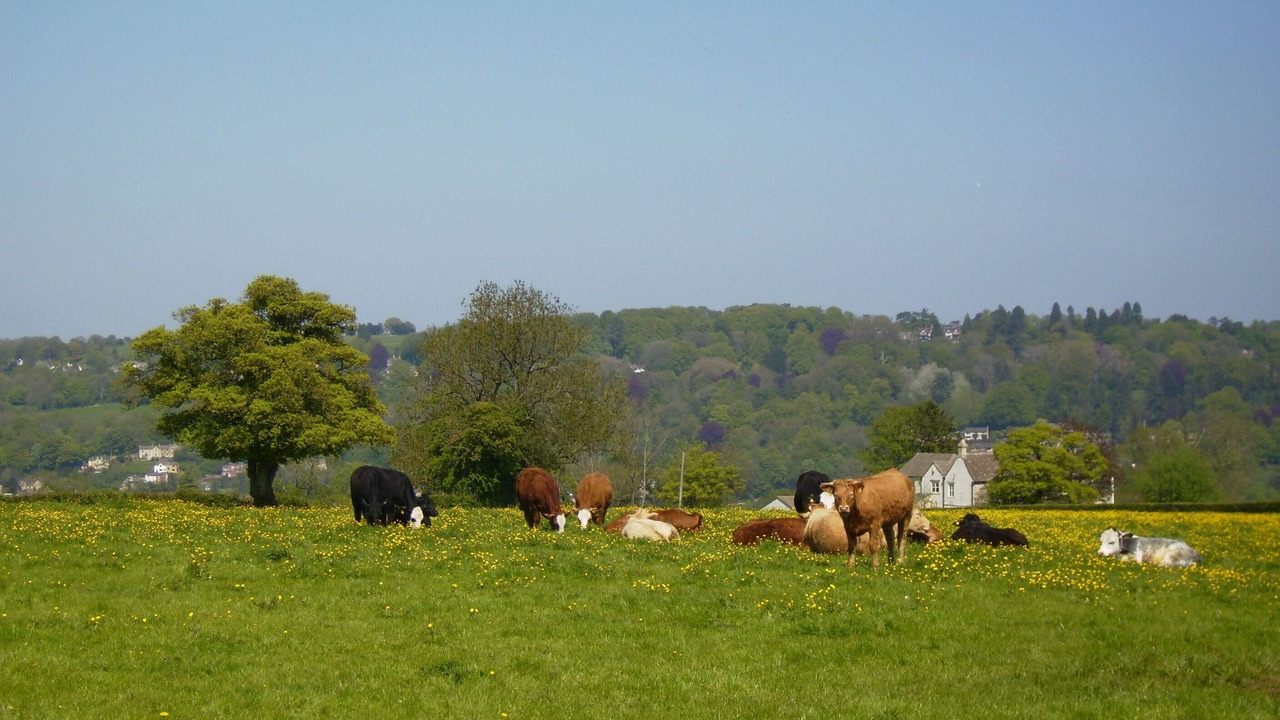 Photo of Others in Nailsworth