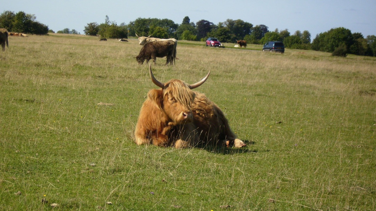 Photo of Others in Nailsworth