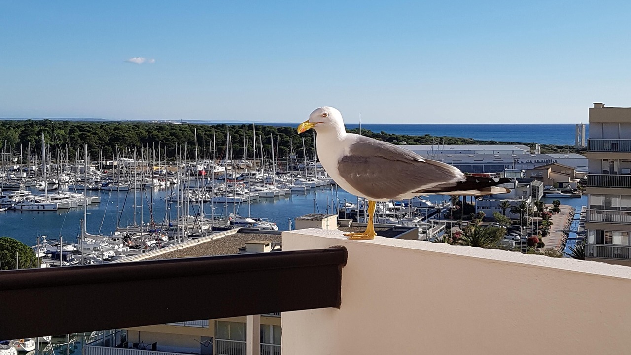 Photo of Outdoor in Le Port