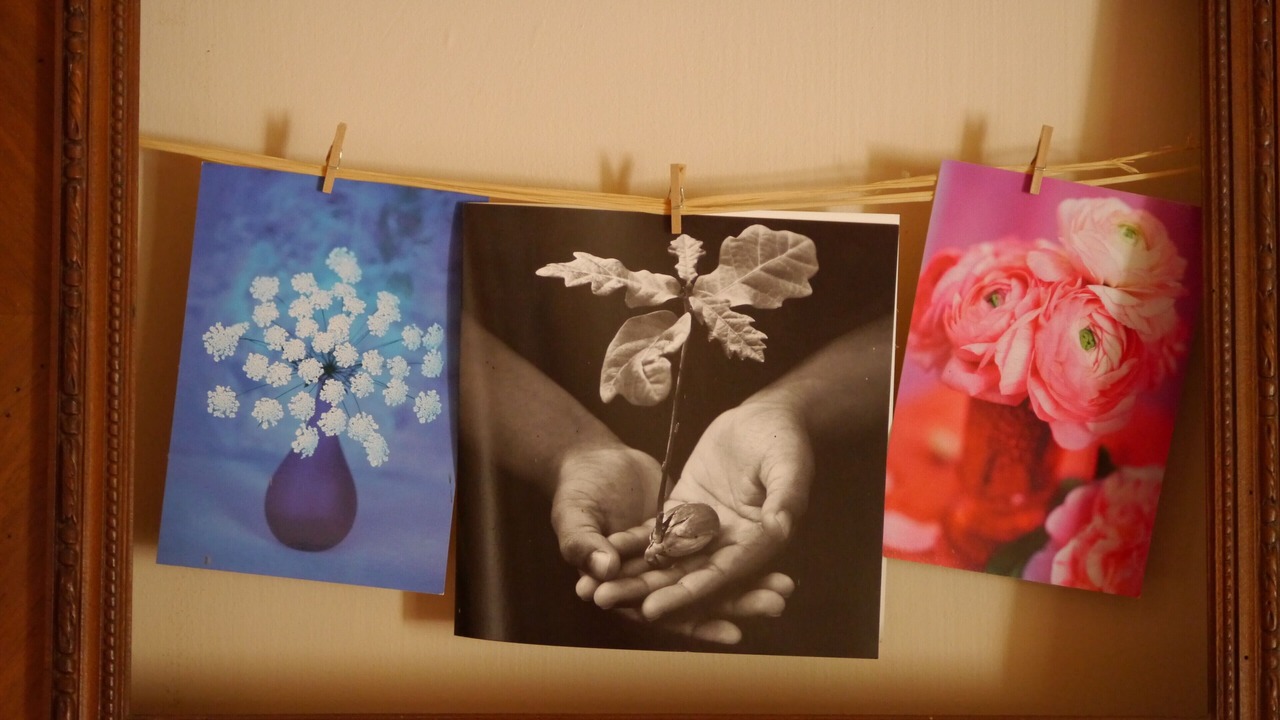 Photo of Others in Verneuil-sur-Indre