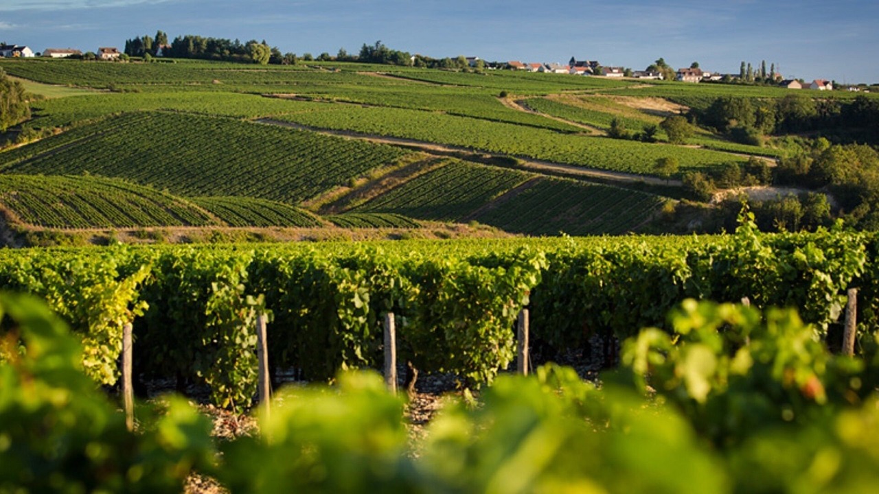 Photo of Others in Boudreville