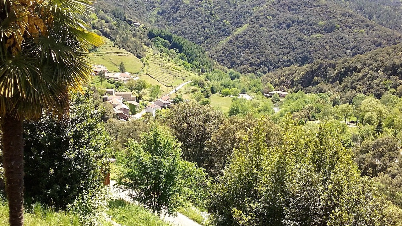 Photo of Outdoor in Beaumont