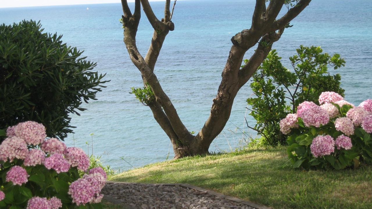 Photo of Outdoor in Bidart