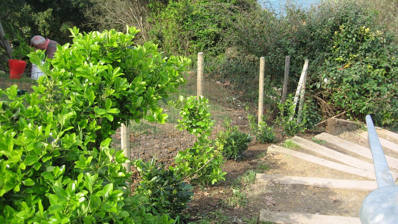 Photo of Outdoor in Bidart
