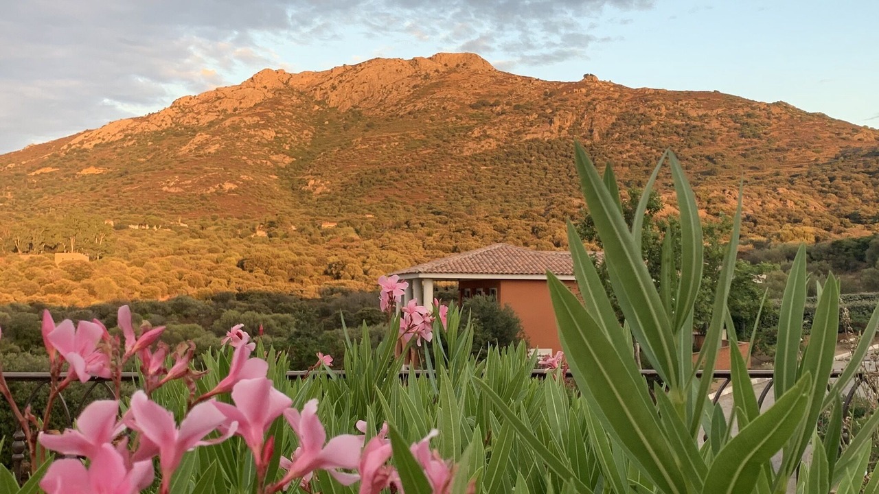 Photo of Outdoor in Marine de Saint Ambroggio