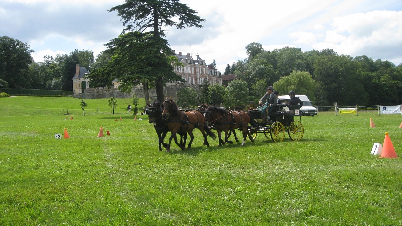 Photo of Others in La Belliere