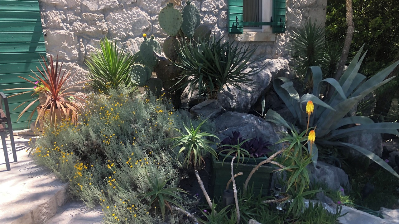 Photo of Outdoor in Bacina