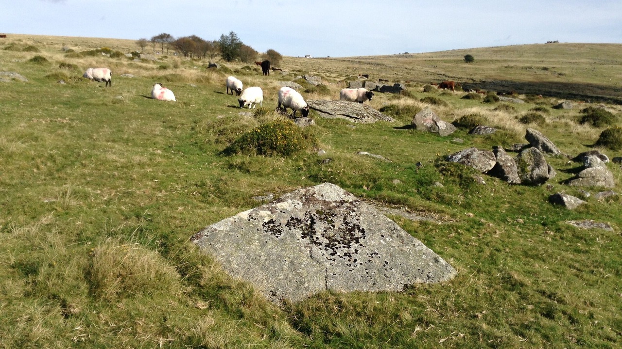 Photo of Others in St. Ann's Chapel