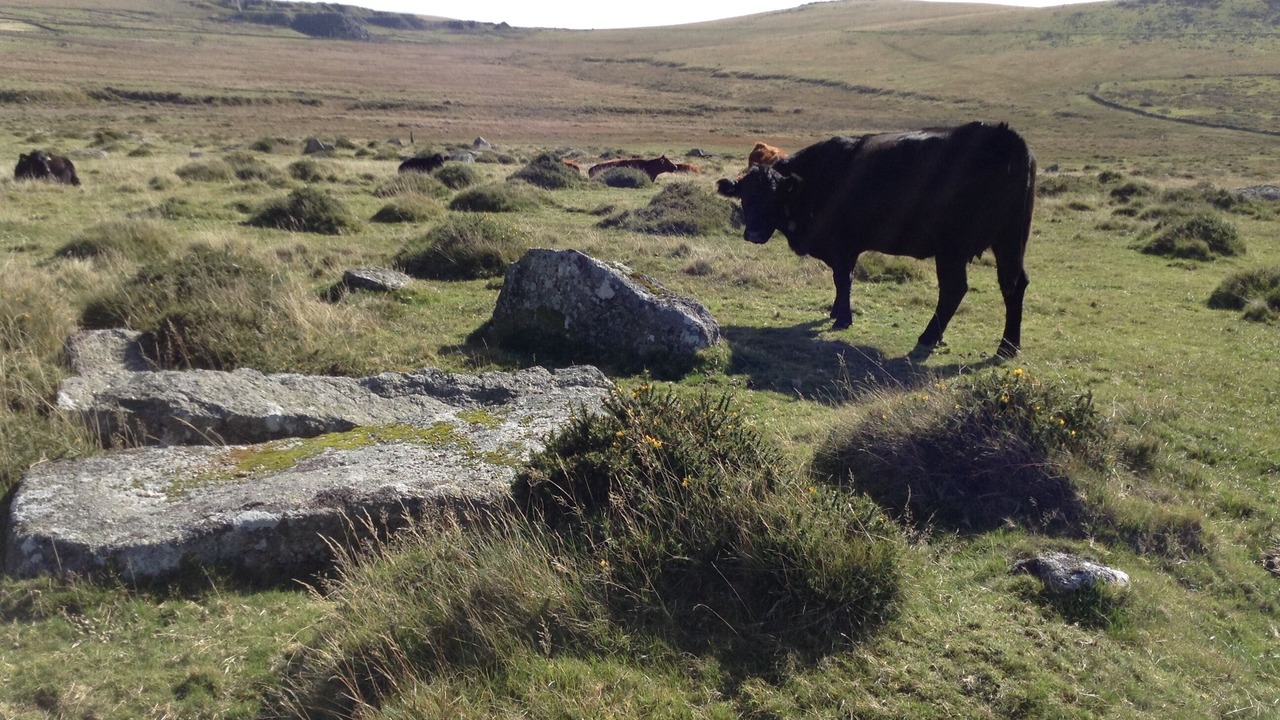 Photo of Others in St. Ann's Chapel