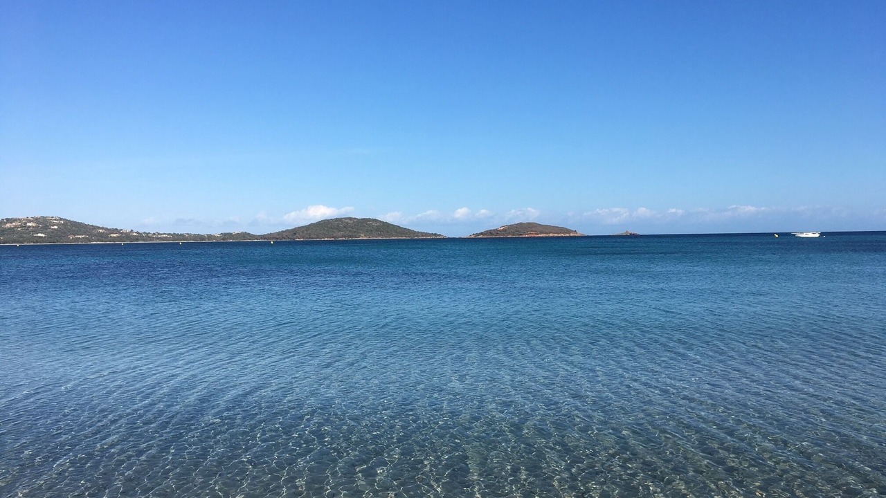 Photo of Others in Pinarellu