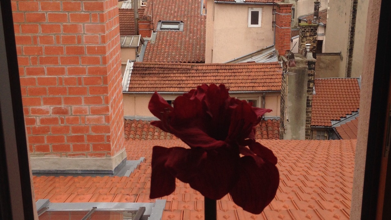 Photo of Others in Terreaux - Bat d'argent