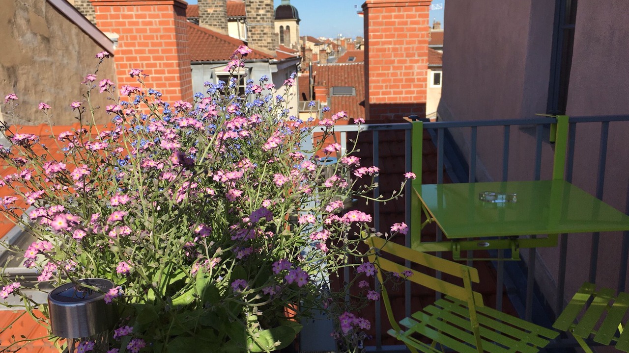 Photo of Outdoor in Terreaux - Bat d'argent