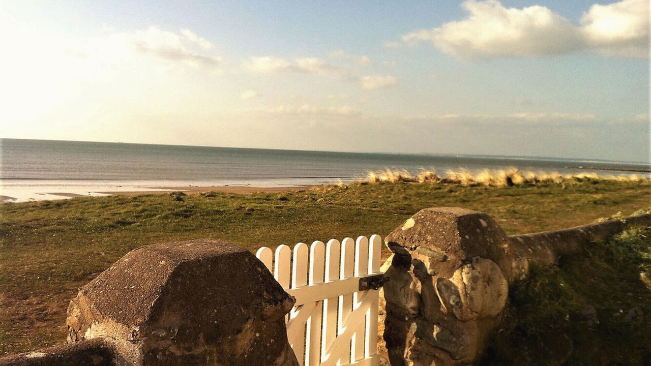 Photo of Others in Dinas