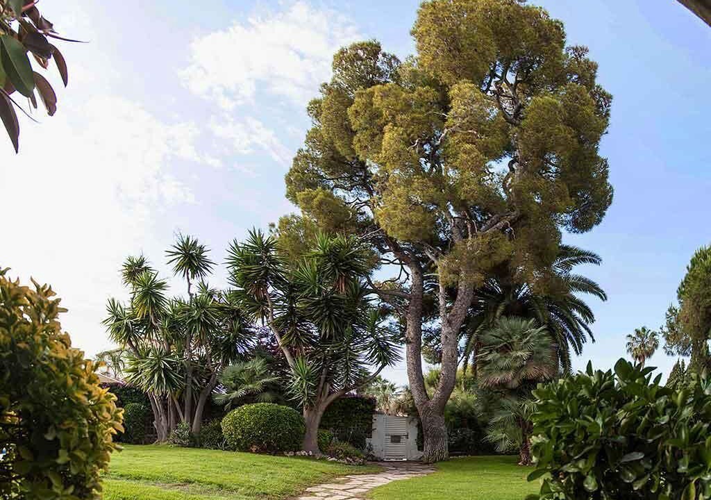 Photo of Outdoor in Passeig Maritim