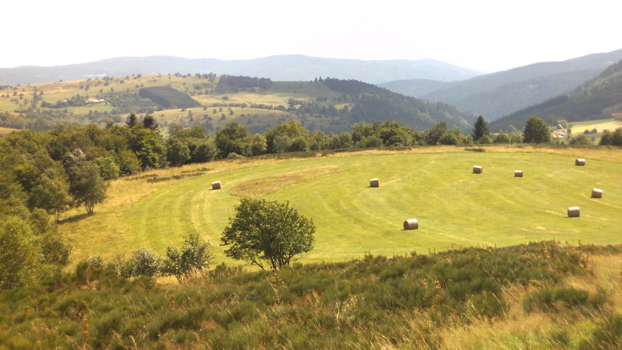 Photo of Others in Thiolieres