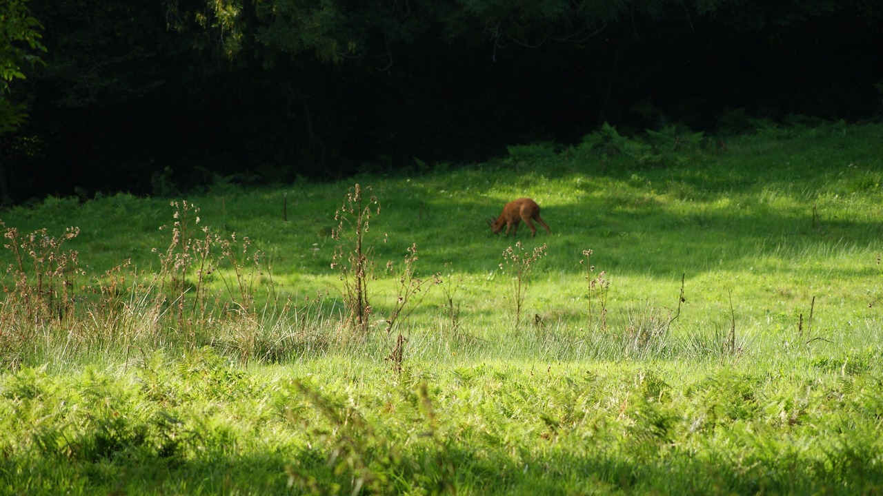 Photo of Others in Thiolieres