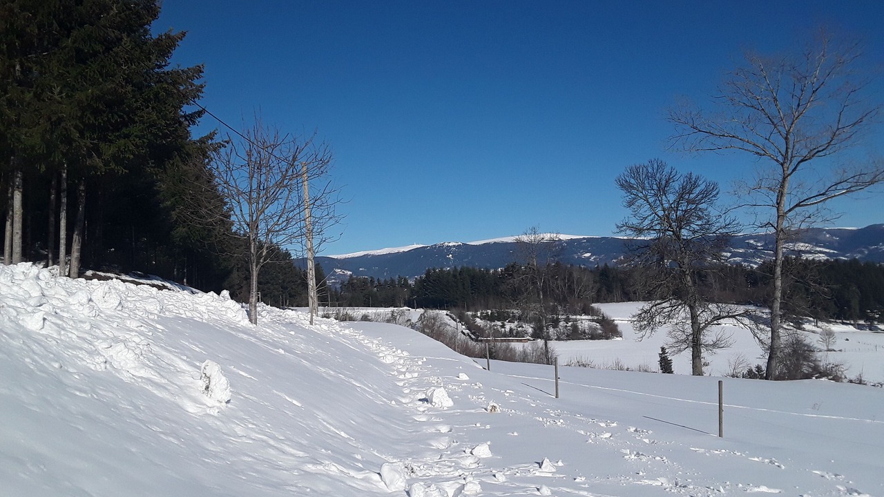 Photo of Others in Thiolieres