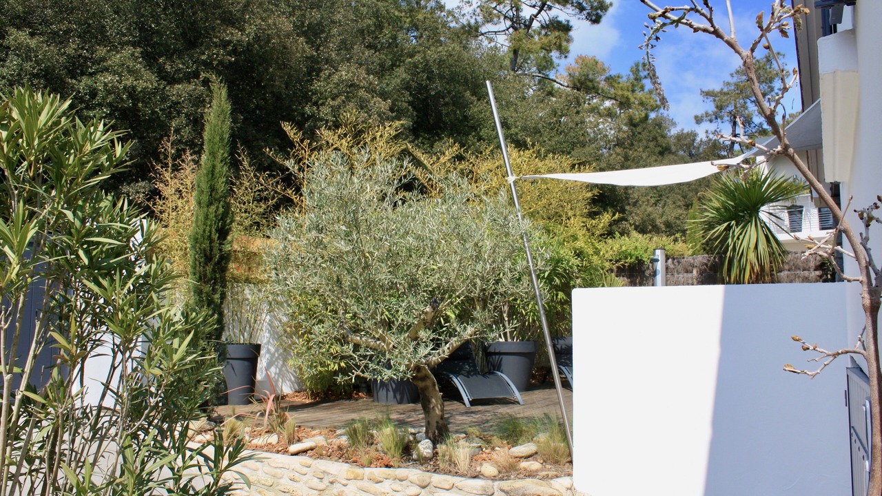 Photo of Outdoor in Jard-sur-Mer