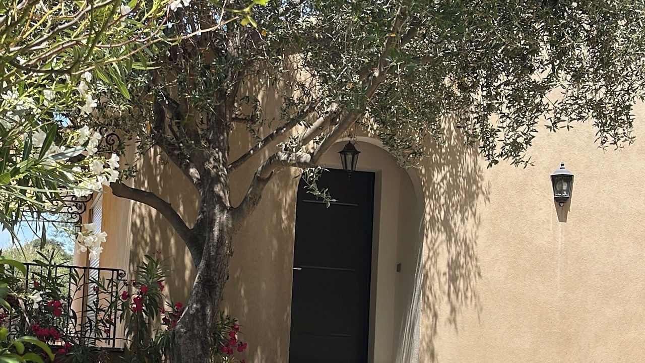 Photo of Outdoor in Belgodere