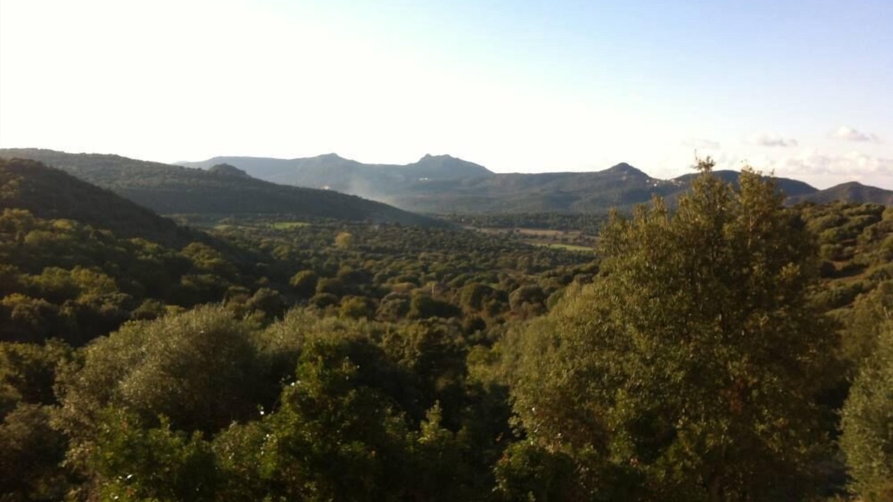 Photo of Others in Belgodere