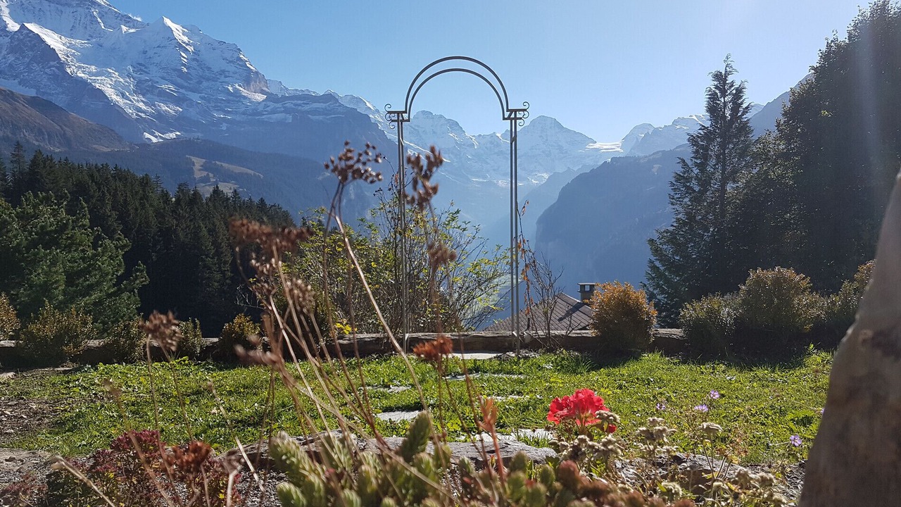 Photo of Outdoor in Wengen