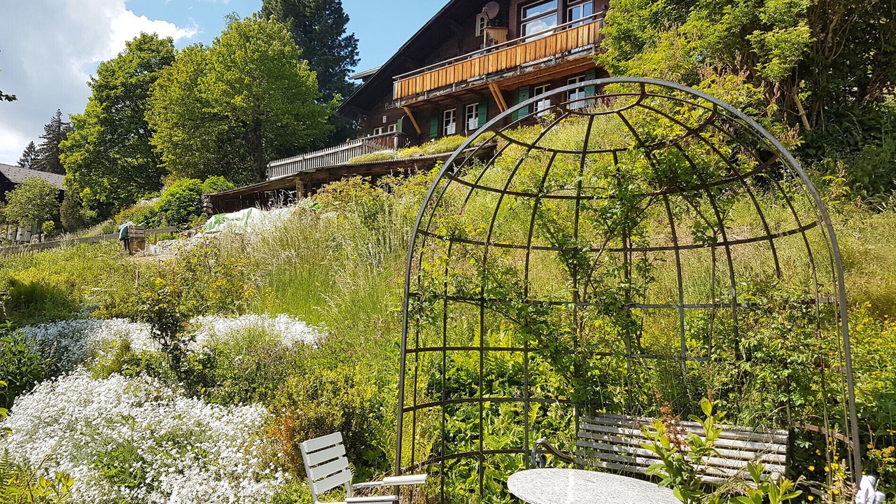 Photo of Outdoor in Wengen
