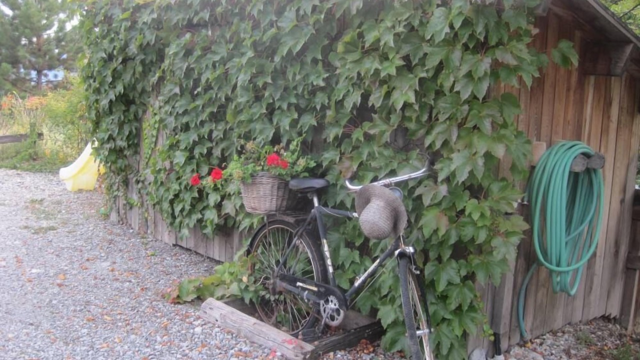 Photo of Others in Chorges