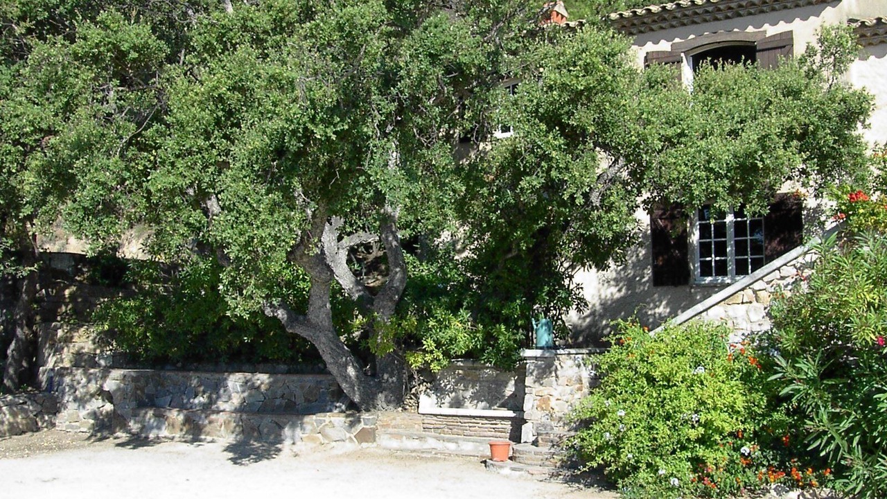 Photo of Outdoor in Ramatuelle