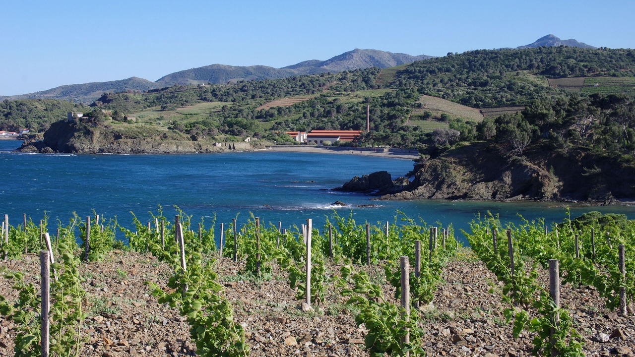 Photo of Others in Port-Vendres