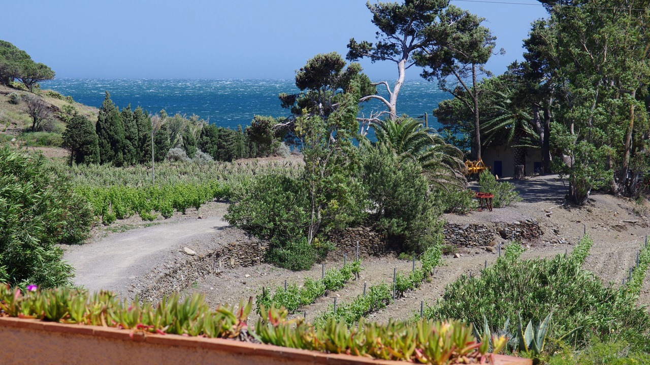 Photo of Outdoor in Port-Vendres