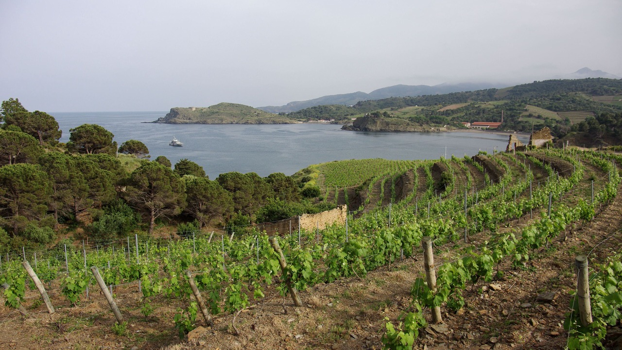Photo of Outdoor in Port-Vendres