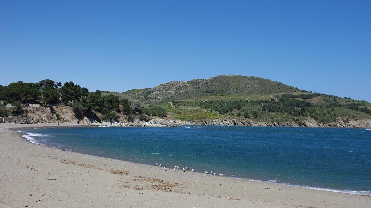 Photo of Others in Port-Vendres