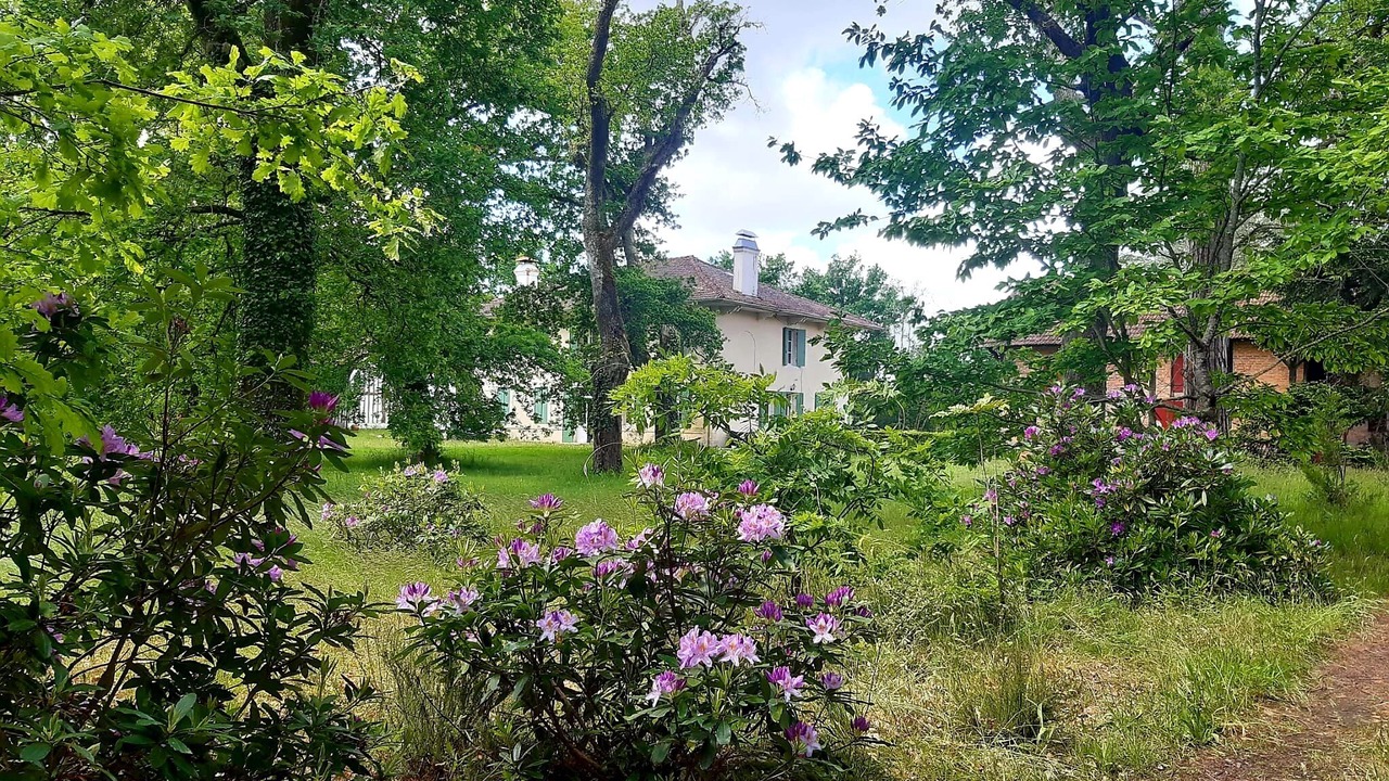 Photo of Outdoor in Pontenx-les-Forges