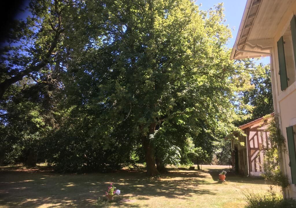 Photo of Outdoor in Pontenx-les-Forges